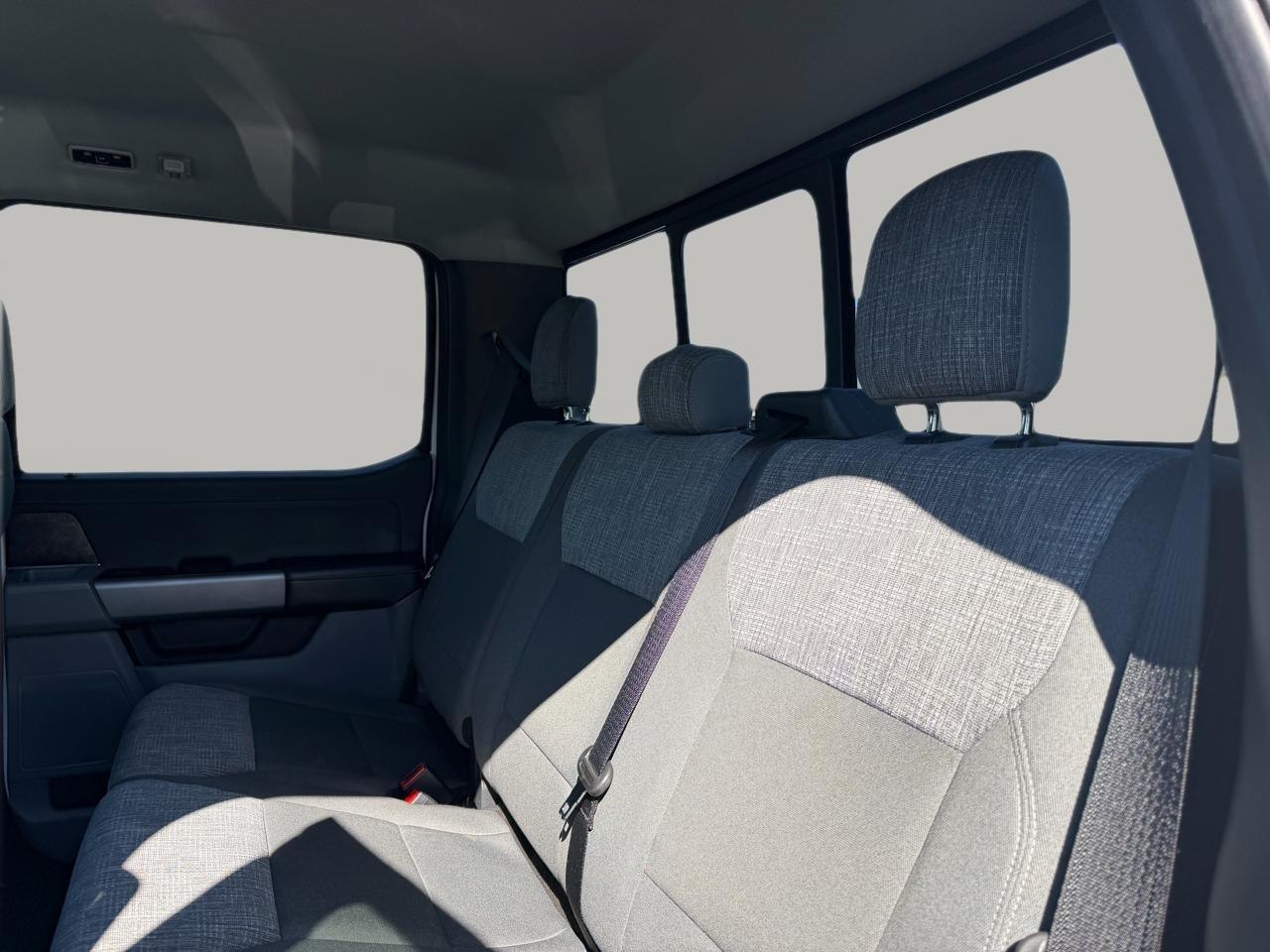 Ford F-150 XLT 2WD 2022