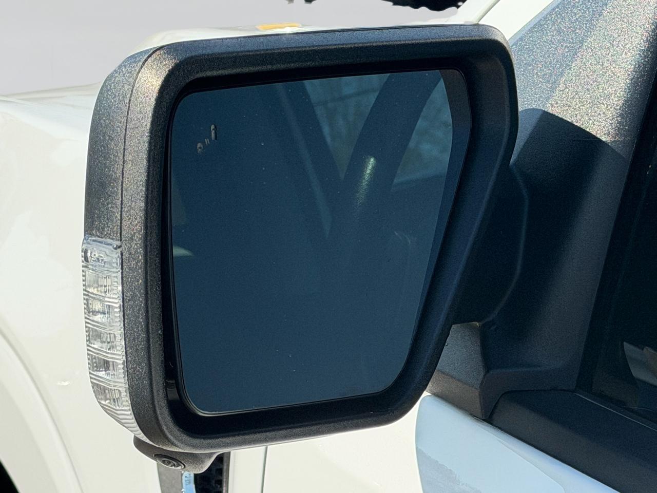 Ford F-150 XLT 2WD 2022