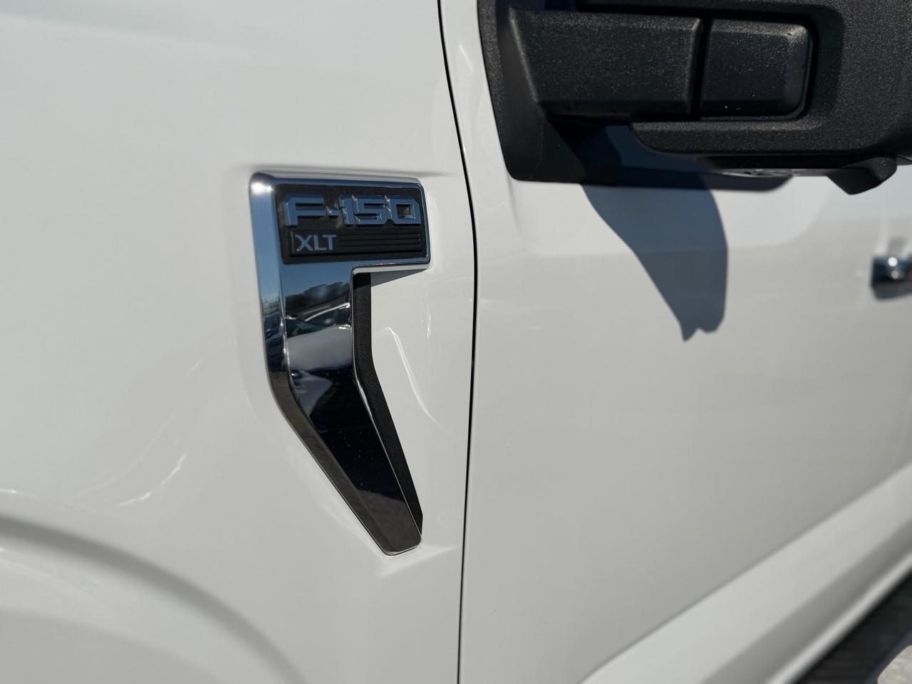 Ford F-150 XLT 2WD 2022