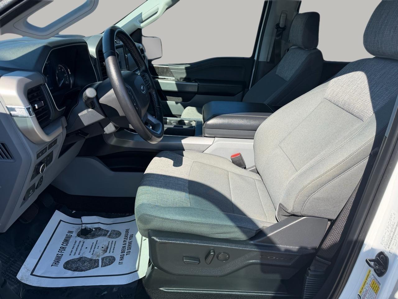 Ford F-150 XLT 2WD 2022