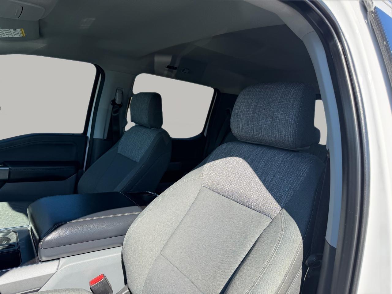 Ford F-150 XLT 2WD 2022