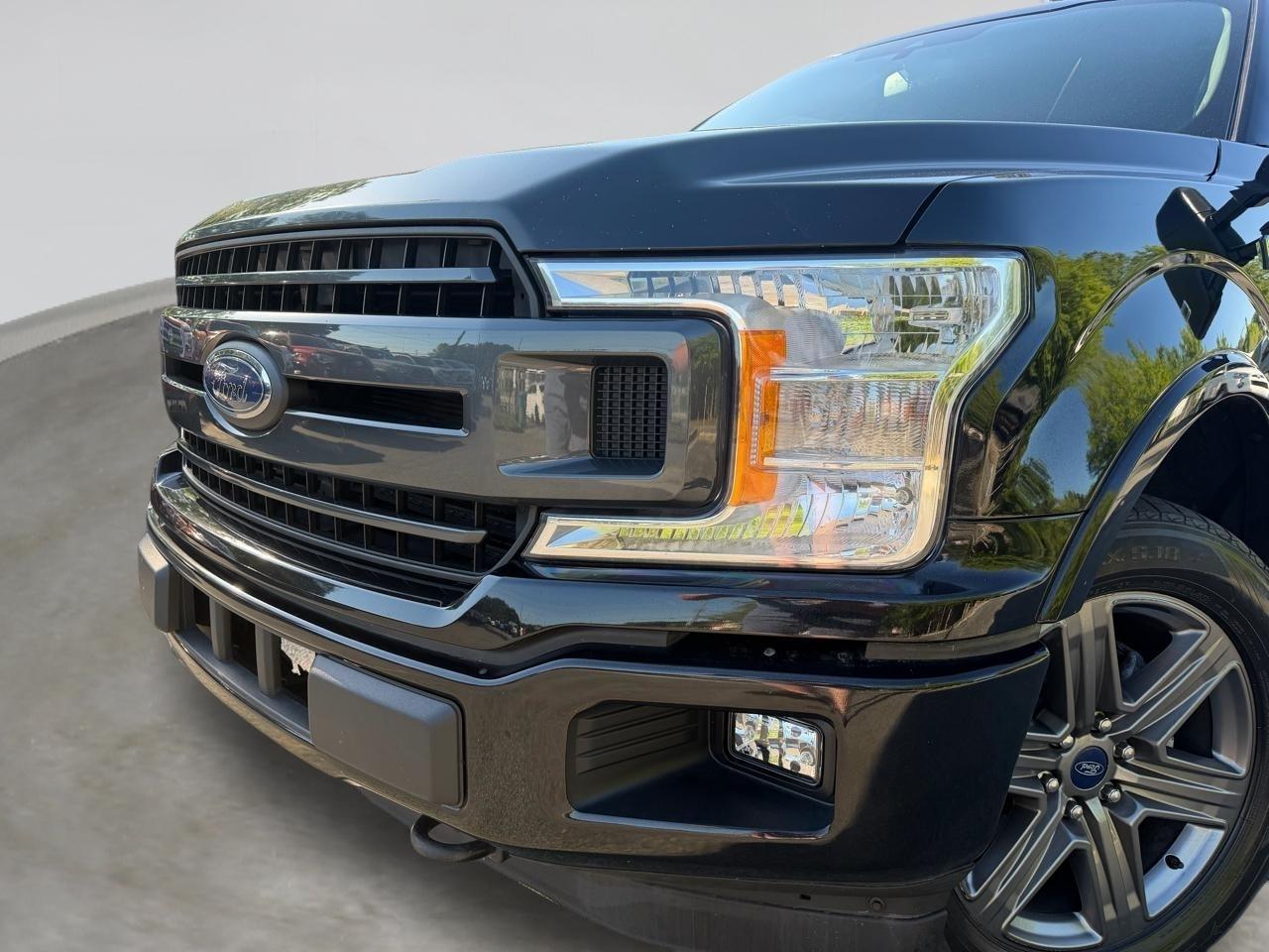 Ford F-150 XLT SuperCrew 6.5-ft. Bed 4WD 2020