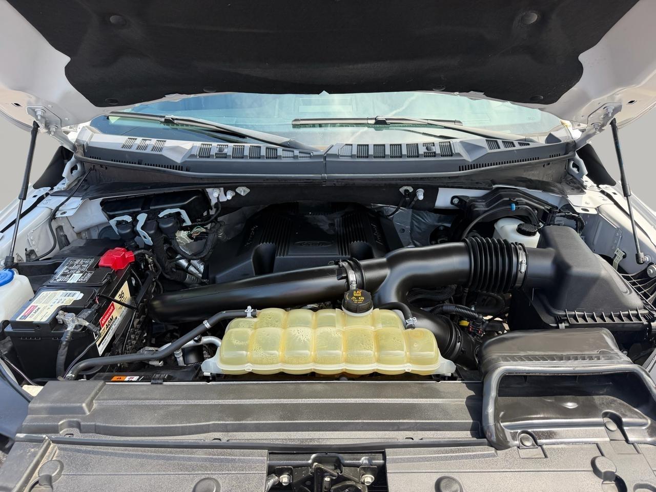 Ford F-150 XLT SuperCrew 6.5-ft. Bed 4WD 2020