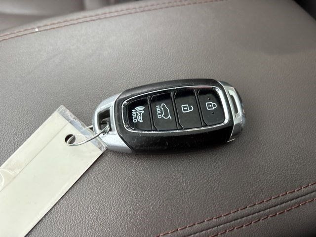 Hyundai Santa Fe Ultimate AWD 2019 Hyundai Santa Fe Ultimate AWD 2019