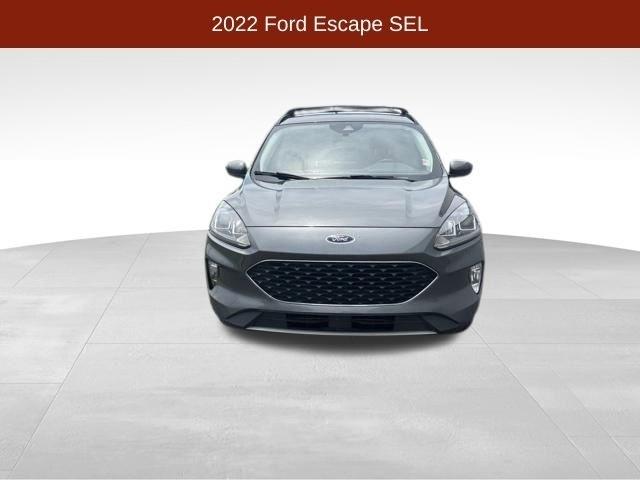Ford Escape  2022