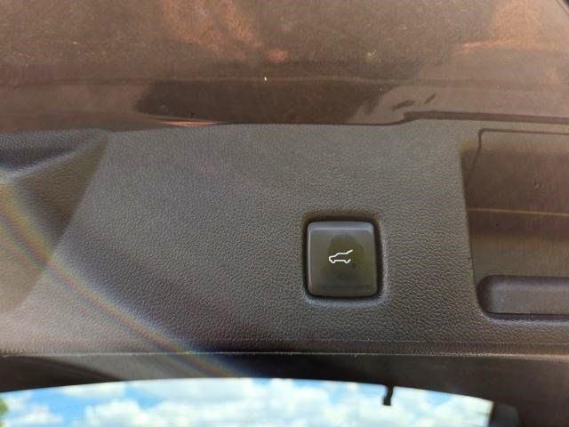Ford Escape Hybrid  2024