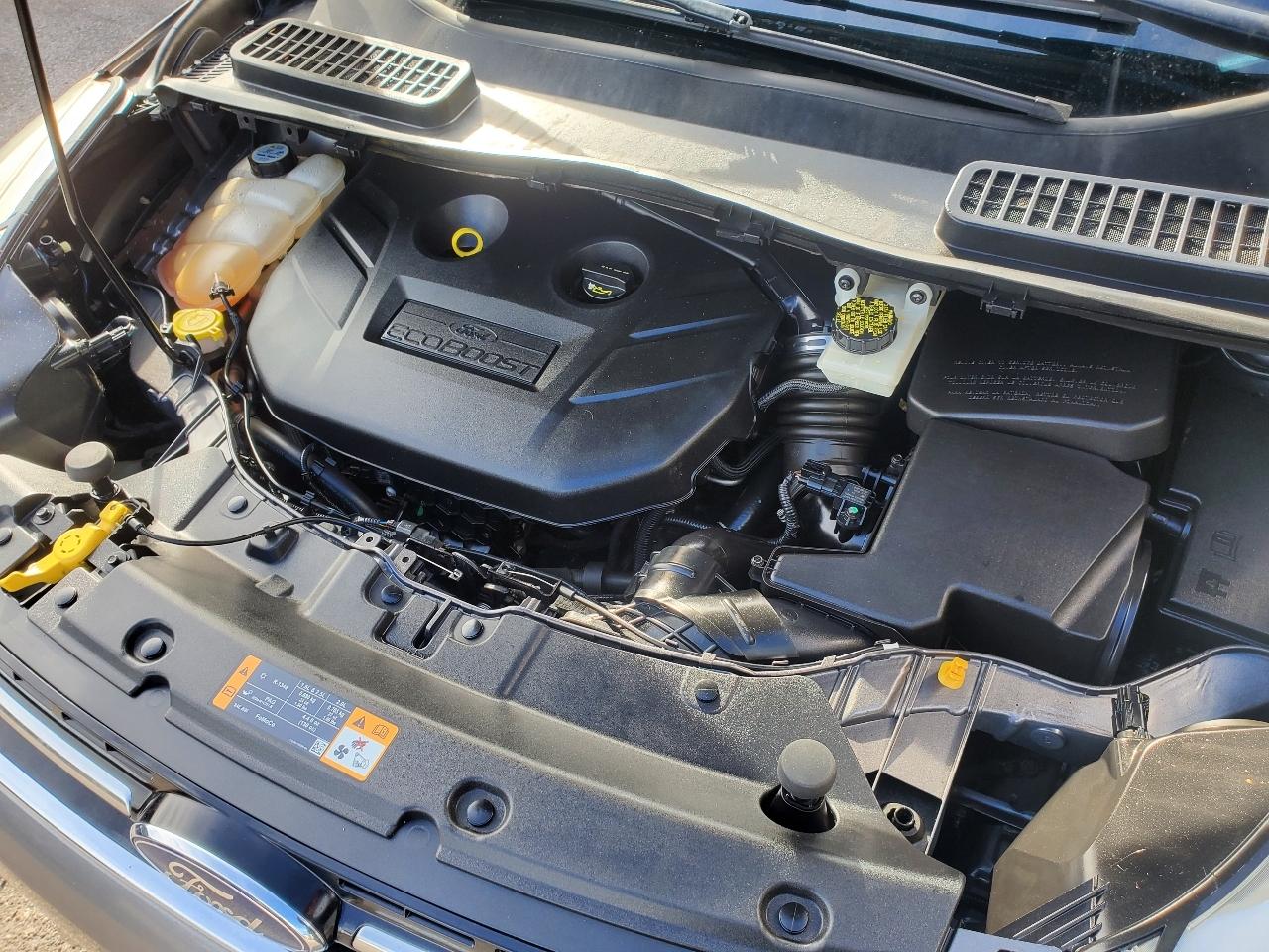 Ford Escape 4WD 4dr SEL 2013