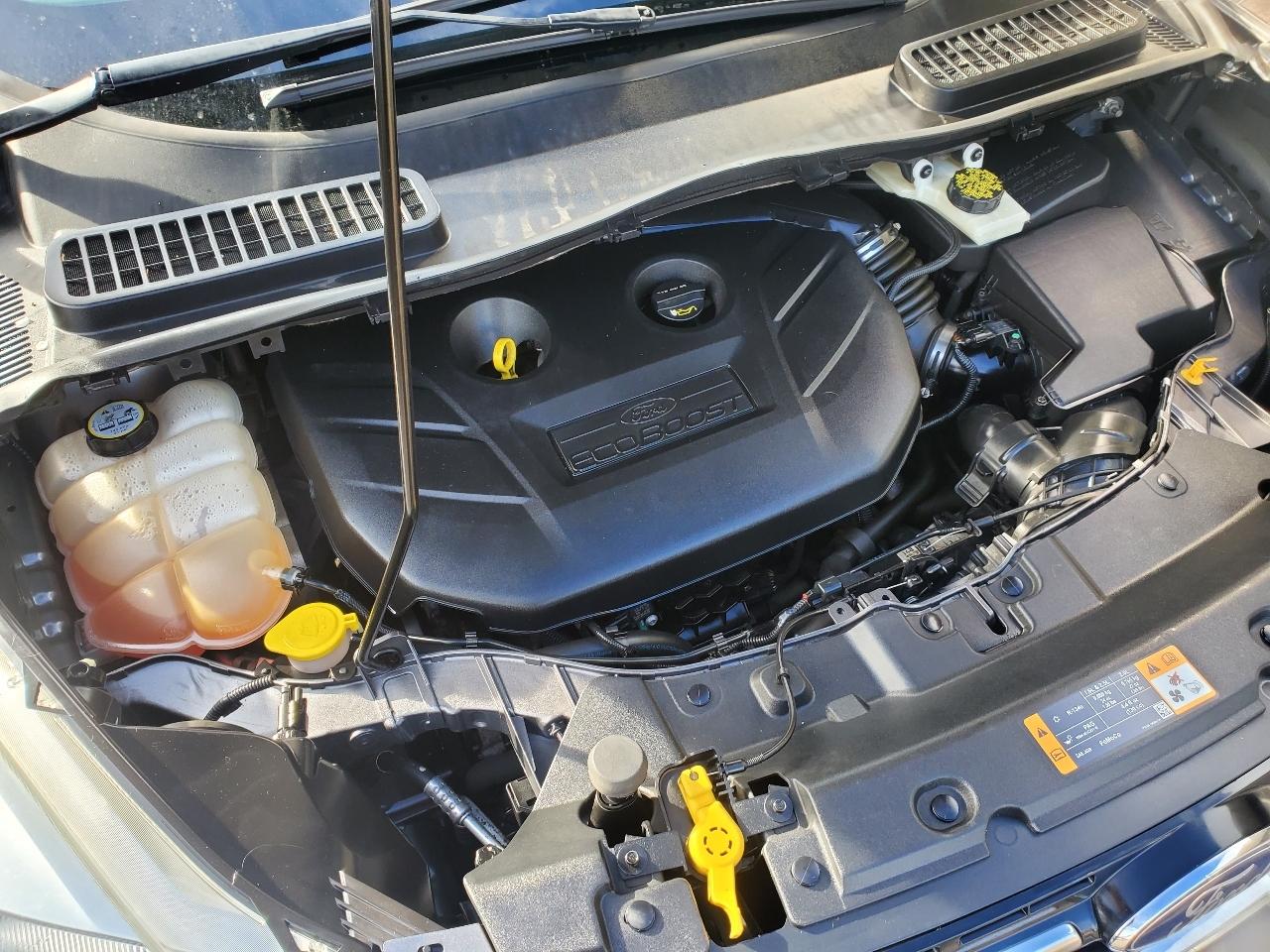 Ford Escape 4WD 4dr SEL 2013