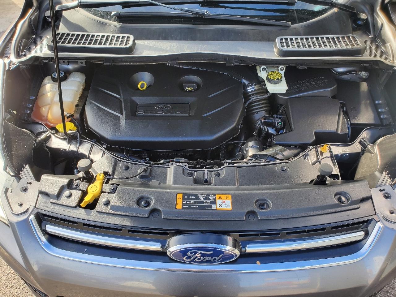 Ford Escape 4WD 4dr SEL 2013