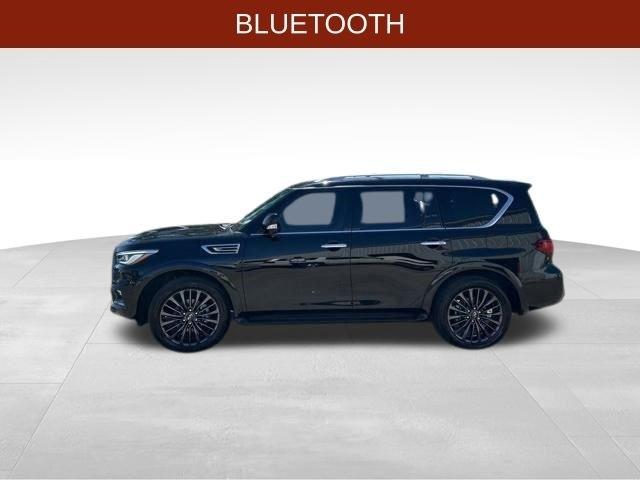Infiniti QX80  2023