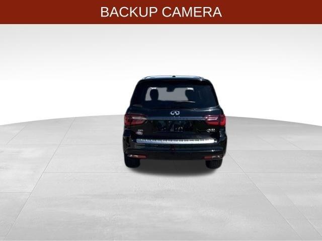 Infiniti QX80  2023