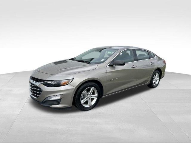 Chevrolet Malibu  2024