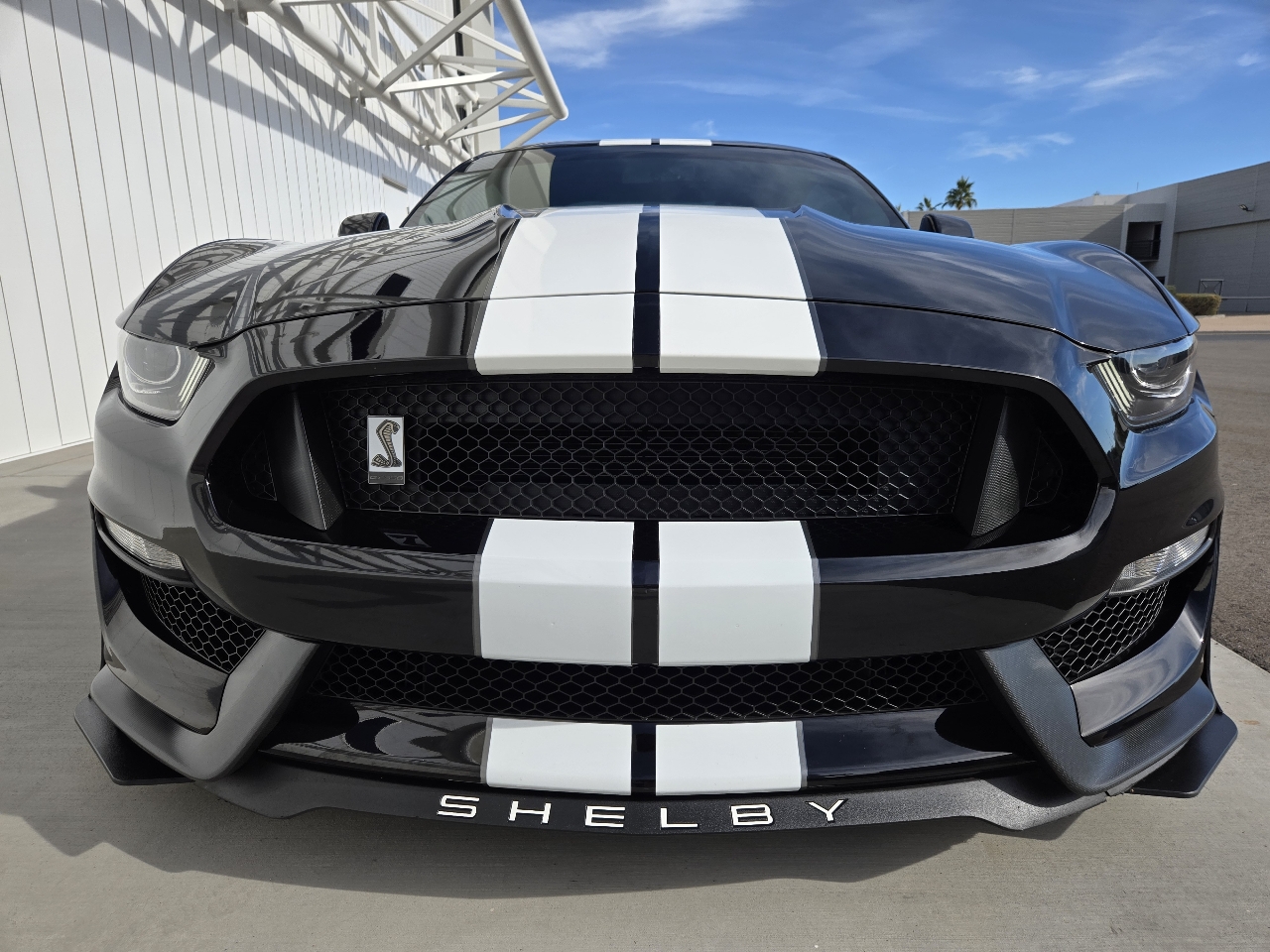 Ford Shelby GT350 Base 2019