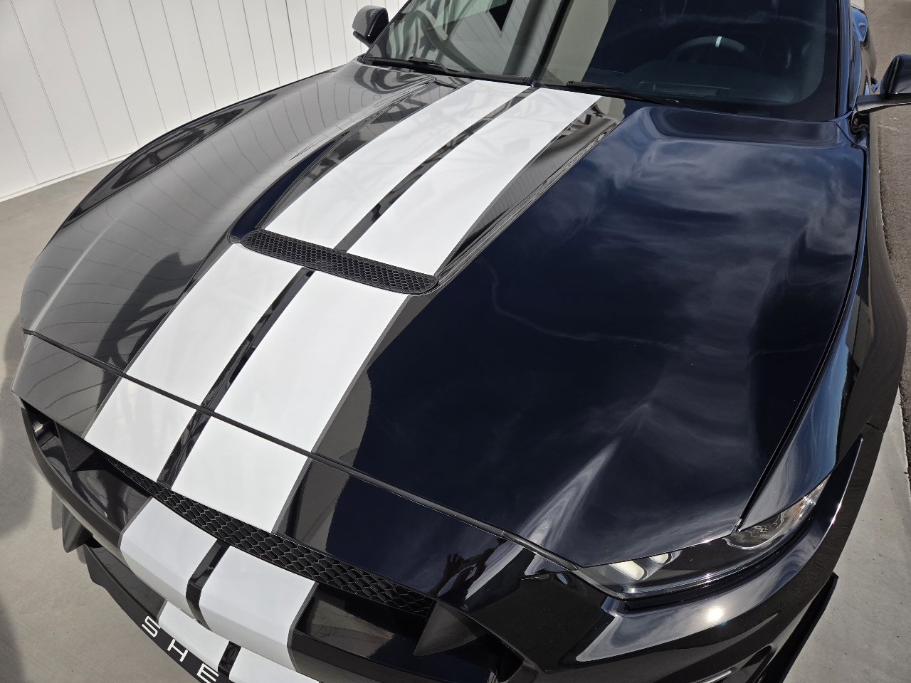 Ford Shelby GT350 Base 2019