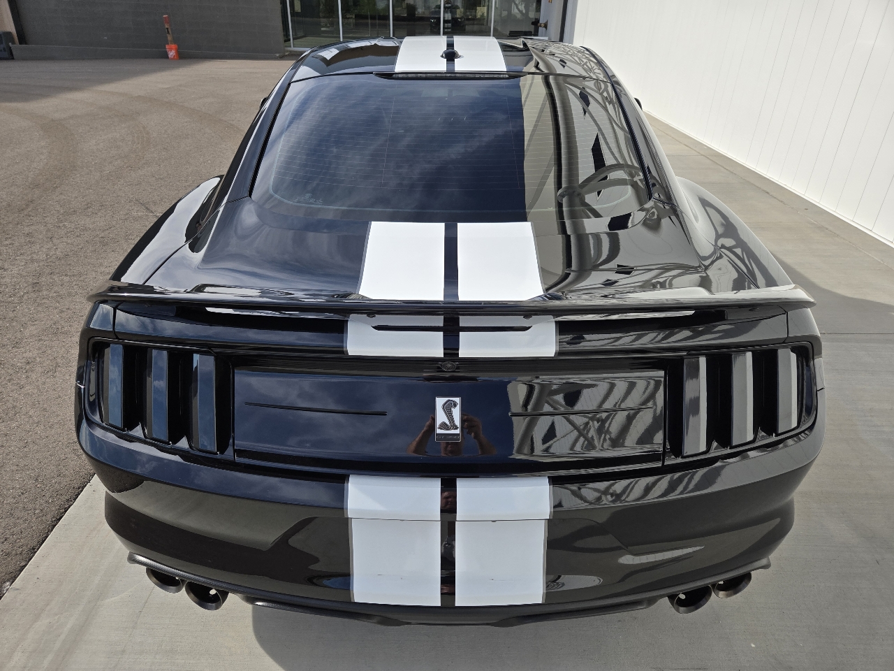 Ford Shelby GT350 Base 2019