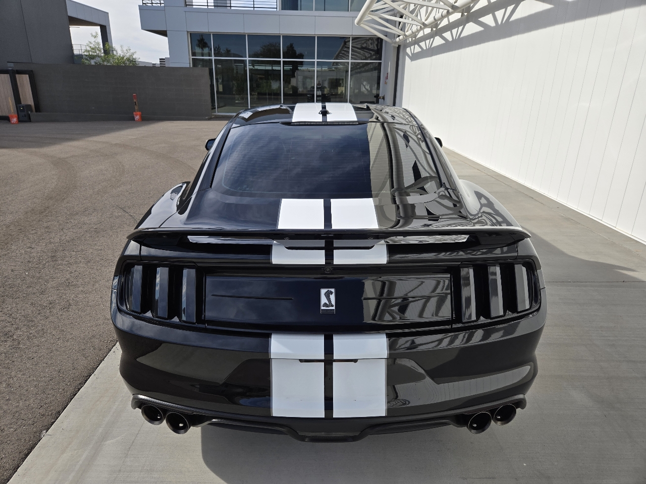 Ford Shelby GT350 Base 2019