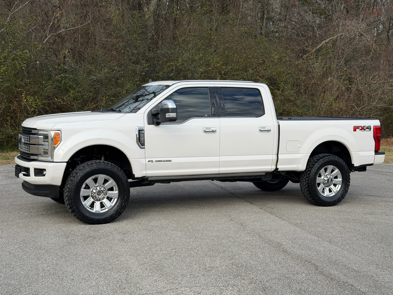 2019 Ford F-250 Super Duty Platinum's photo