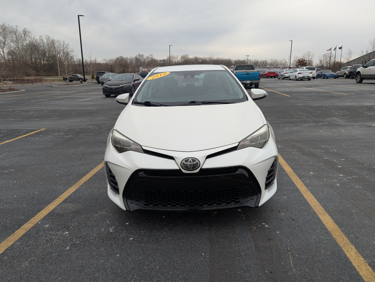 Toyota Corolla SE 2019