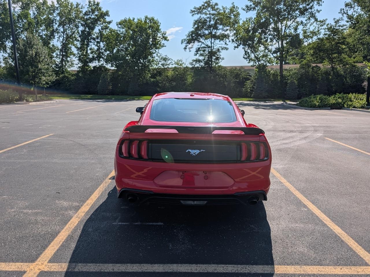 Ford Mustang EcoBoost Coupe 2019