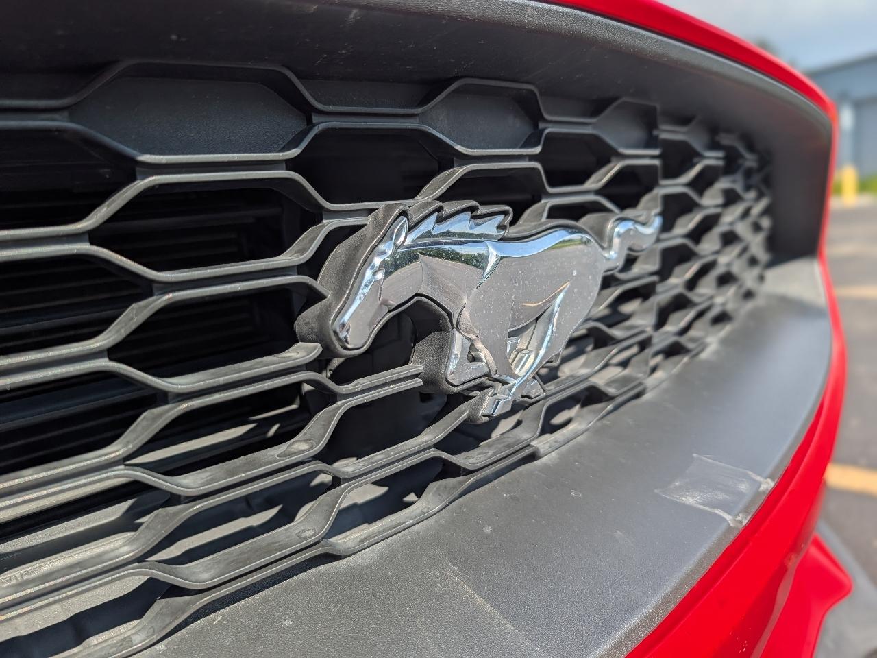 Ford Mustang EcoBoost Coupe 2019