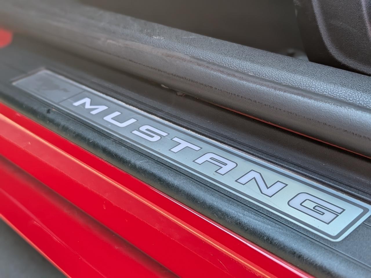Ford Mustang EcoBoost Coupe 2019