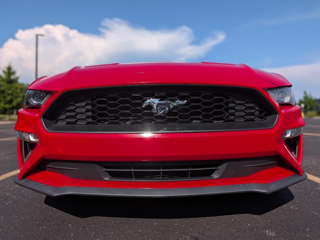 Ford Mustang EcoBoost Coupe 2019