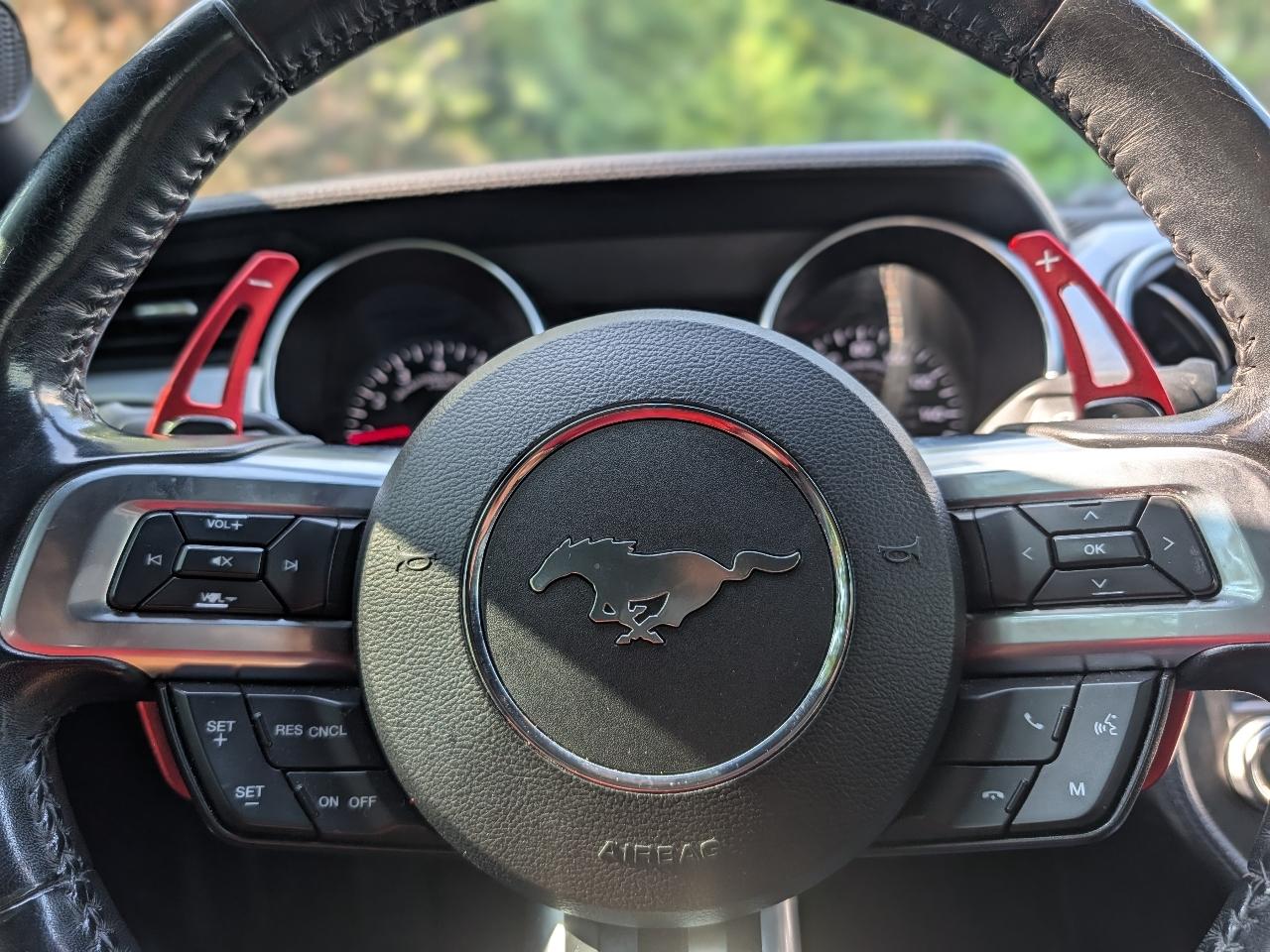 Ford Mustang EcoBoost Coupe 2019