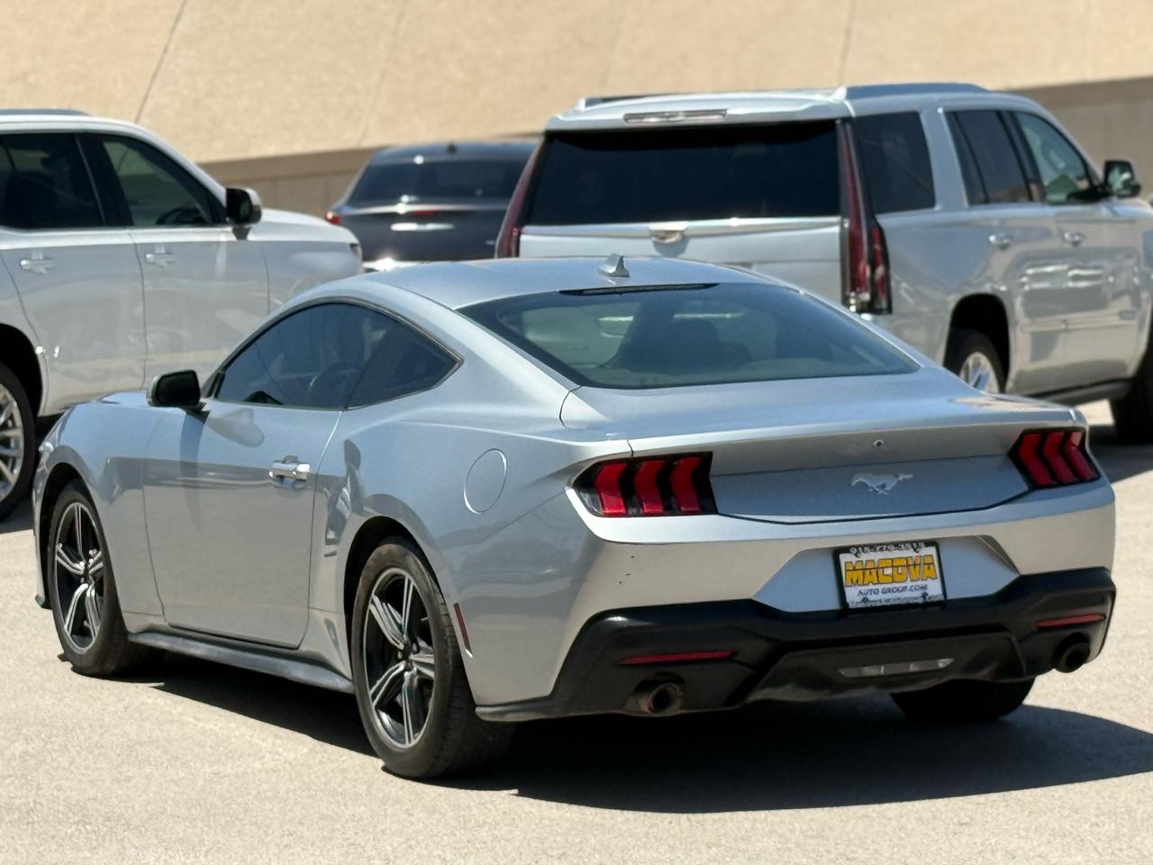 Ford Mustang EcoBoost Fastback 2024