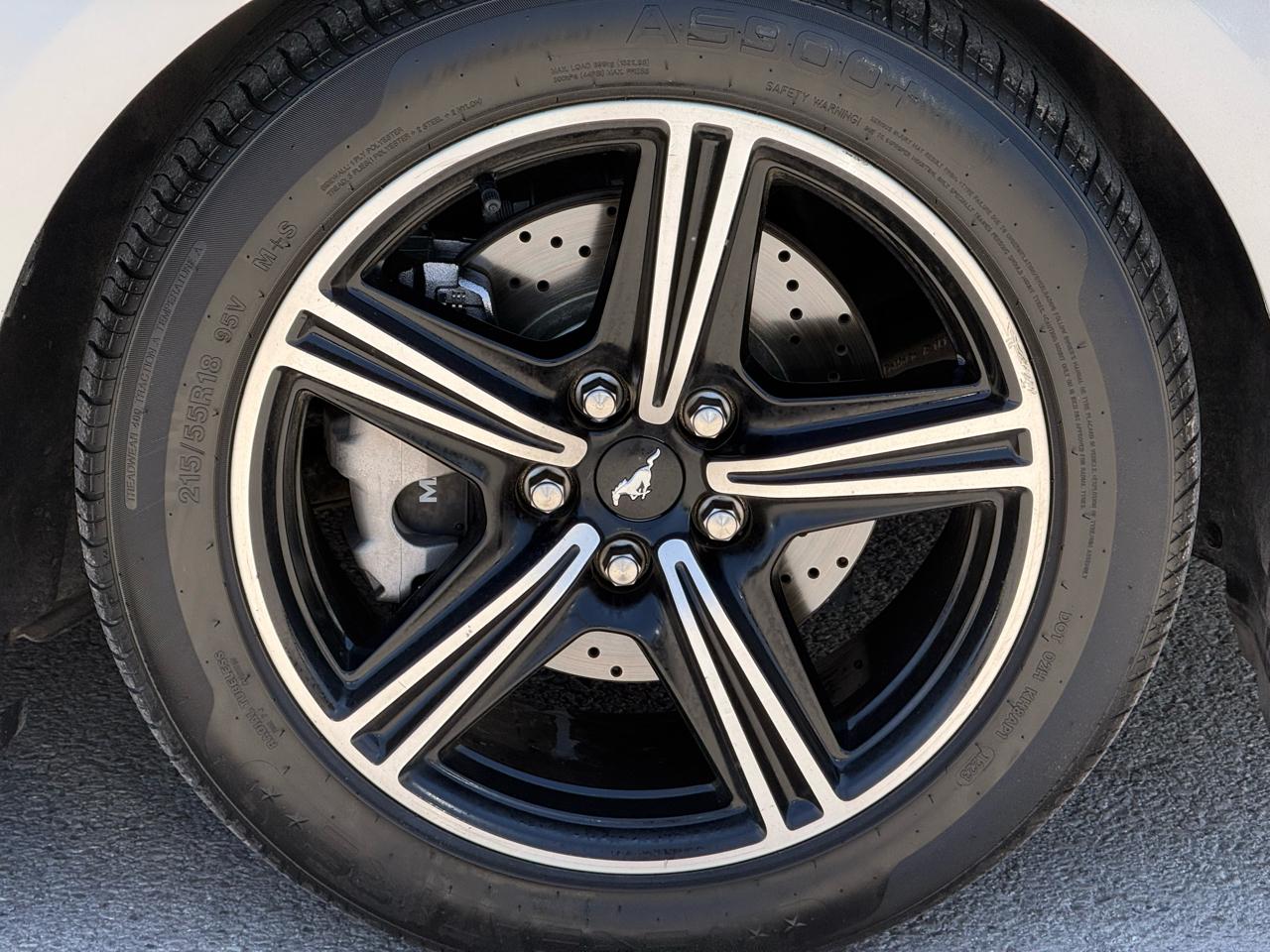 Ford Mustang EcoBoost Fastback 2024
