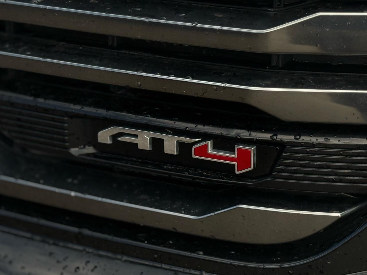 GMC Sierra 1500 4WD Crew Cab 147" AT4 2023