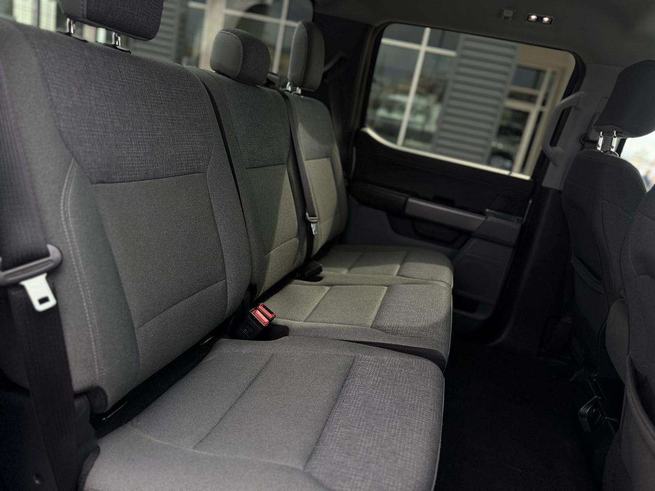 Ford F-150 XLT 2WD SuperCrew 5.5' Box 2025