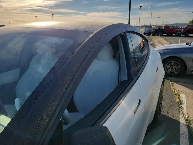 Tesla Model Y Performance 2022