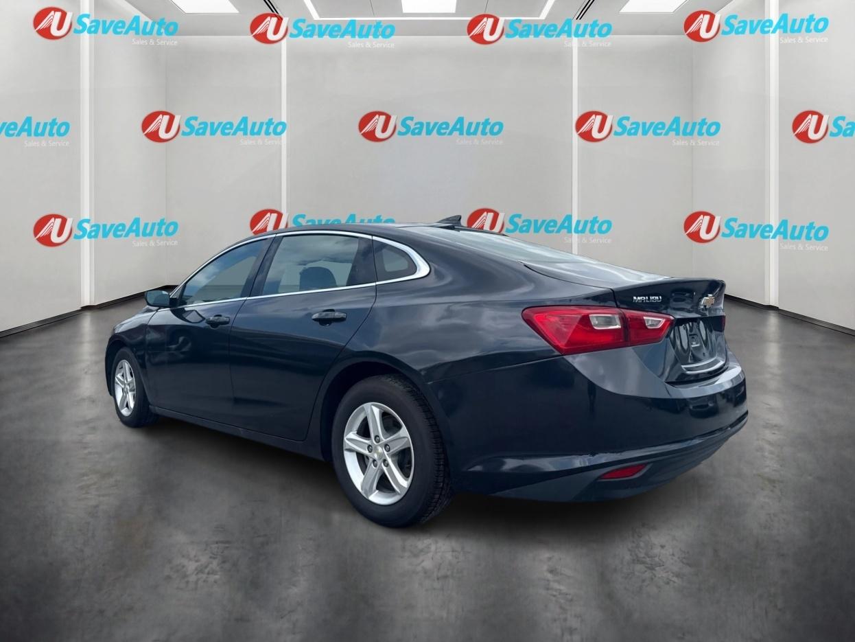 Chevrolet Malibu 1LT 2023