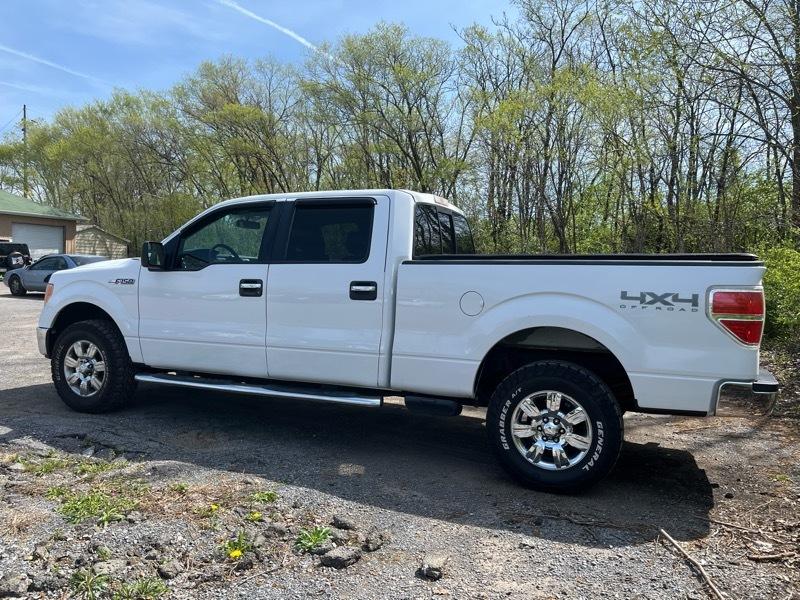 Ford F-150 XLT SuperCrew 6.5-ft. Bed 4WD 2011