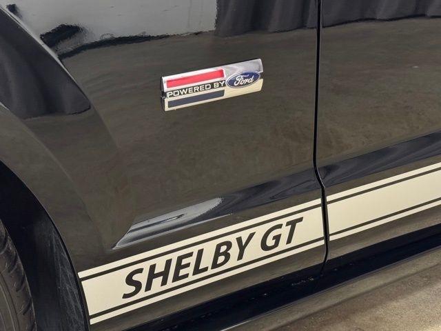 Ford Mustang GT Deluxe Coupe 2007