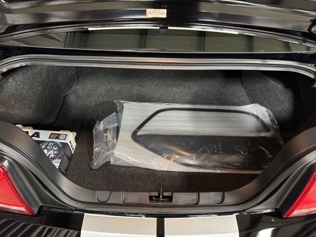 Ford Mustang GT Deluxe Coupe 2007