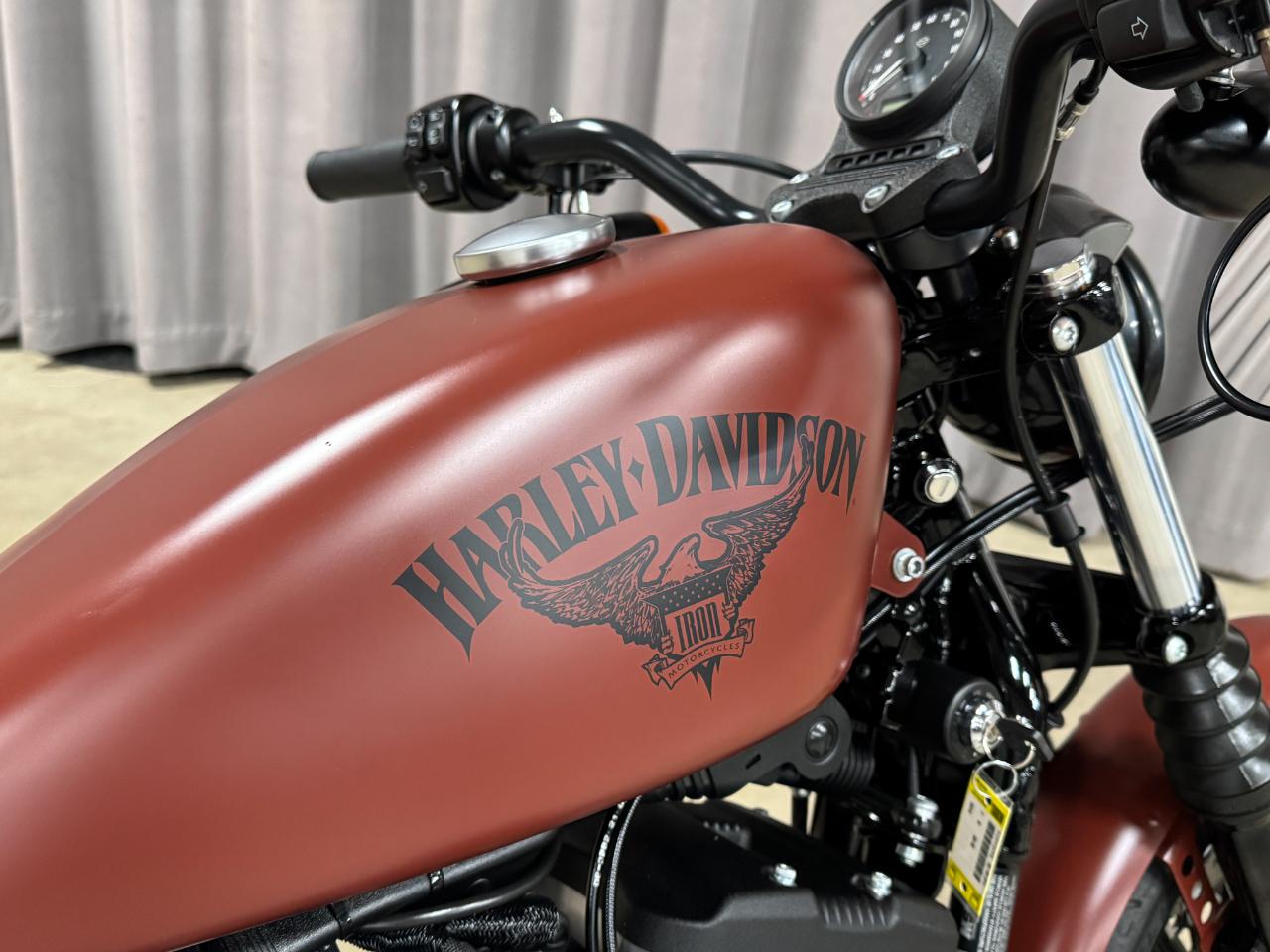 Harley-Davidson XL883N  2017