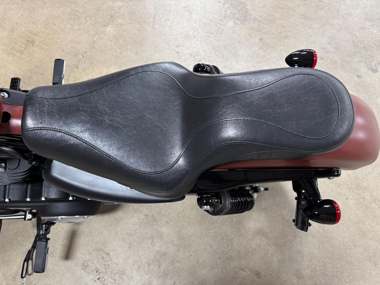 Harley-Davidson XL883N  2017