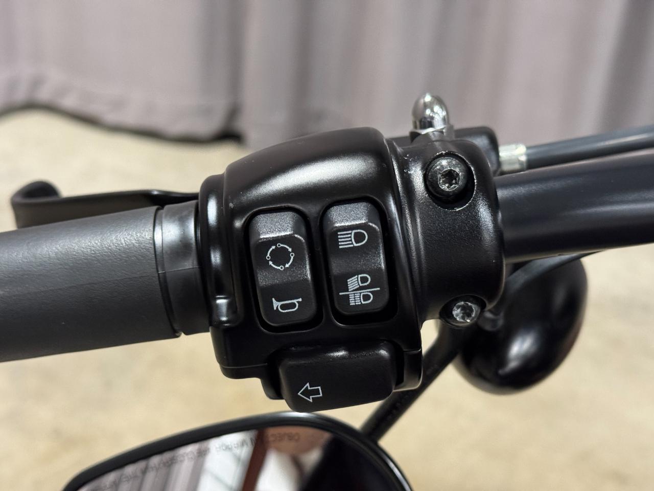 Harley-Davidson XL883N  2017