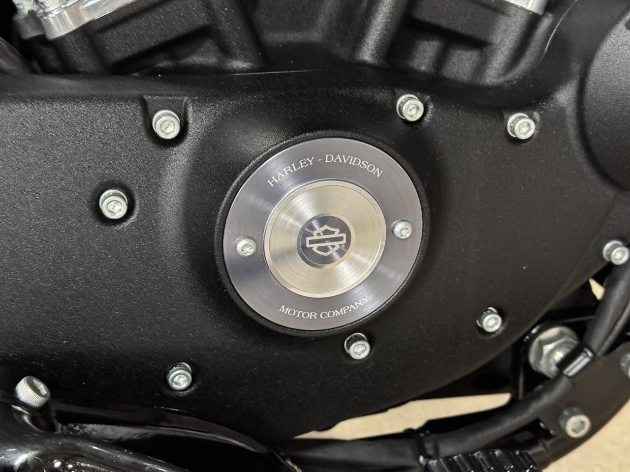 Harley-Davidson XL883N  2017