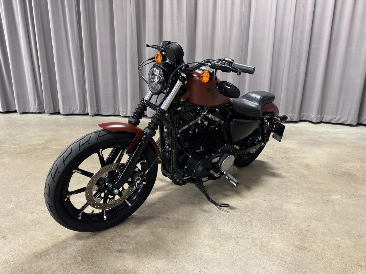 Harley-Davidson XL883N  2017