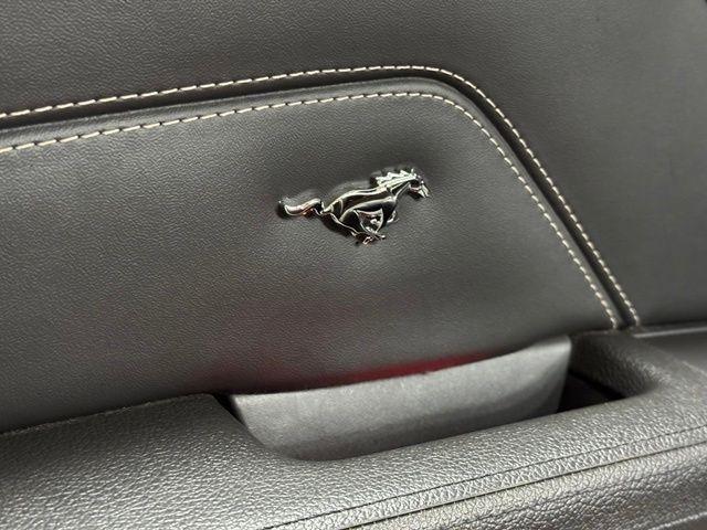 Ford Mustang GT convertible 2012