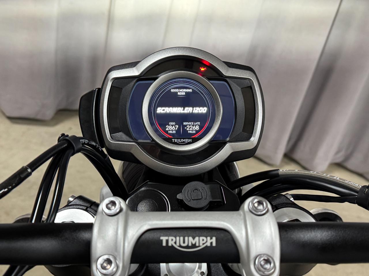 Triumph Scrambler  2023