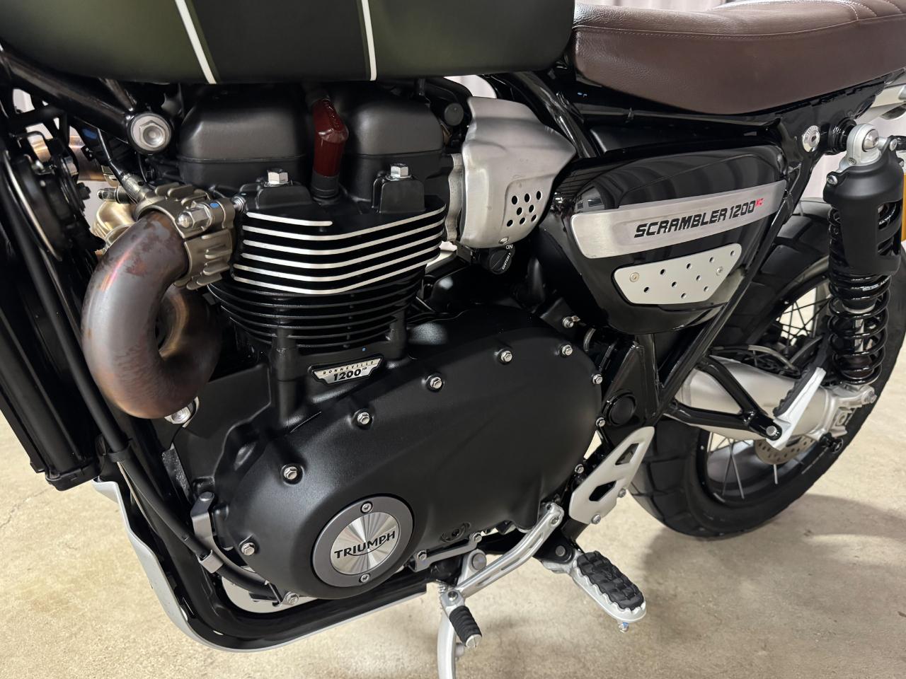 Triumph Scrambler  2023