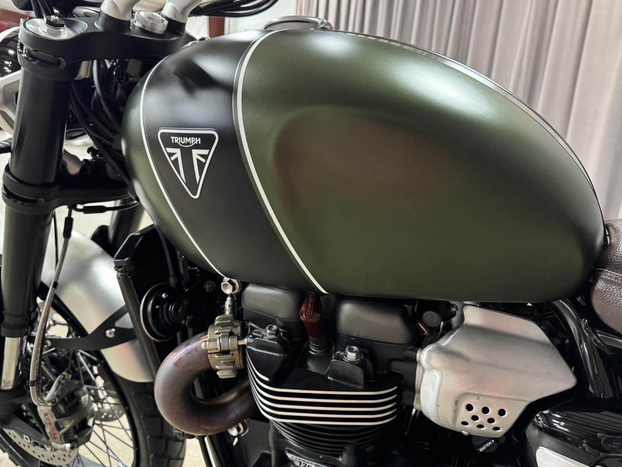 Triumph Scrambler  2023