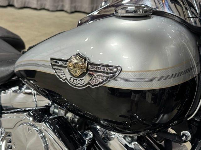 Harley-Davidson FLSTF  2003