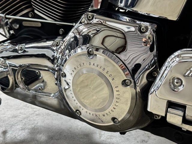 Harley-Davidson FLSTF  2003