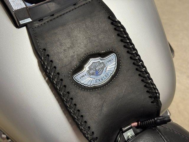Harley-Davidson FLSTF  2003