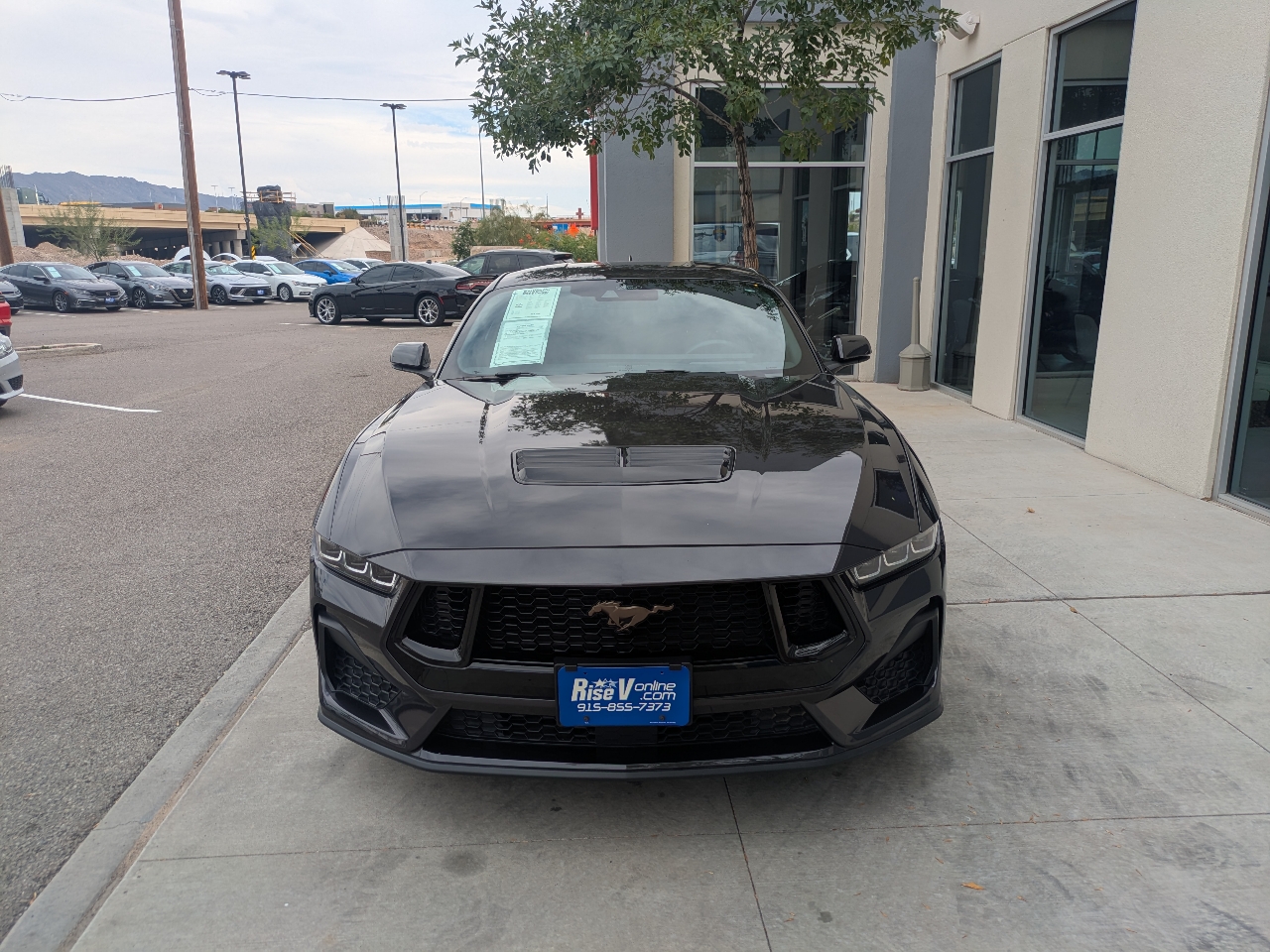 Ford Mustang GT Premium Coupe 2024 Ford Mustang GT Premium Coupe 2024