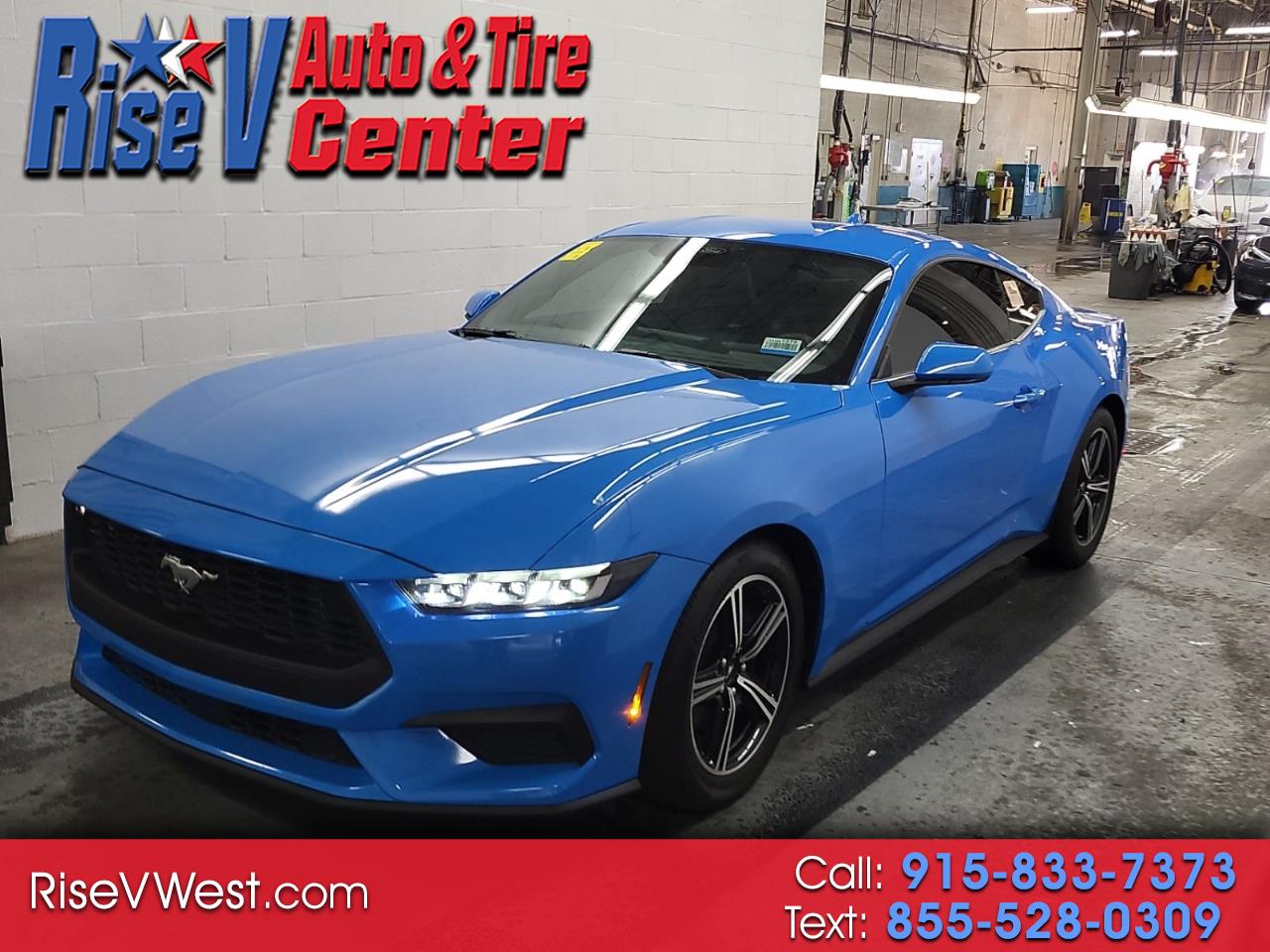 Ford Mustang EcoBoost Coupe 2024 Ford Mustang EcoBoost Coupe 2024